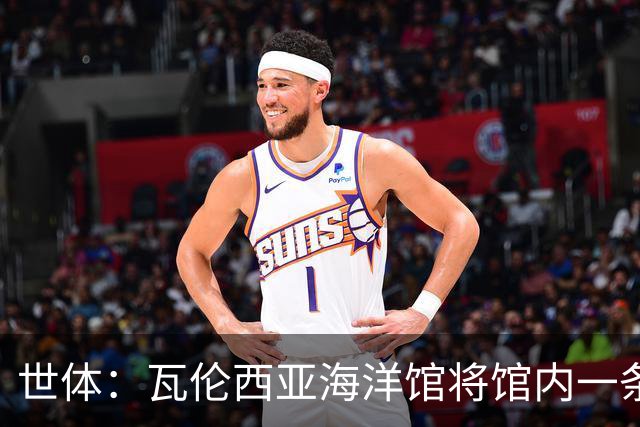 世体：瓦伦西亚海洋馆将馆内一条鲨鱼命名为费兰-托雷斯