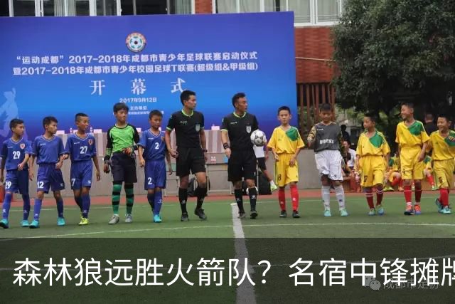森林狼远胜火箭队？名宿中锋摊牌：狼队西部前4，火箭短板依旧