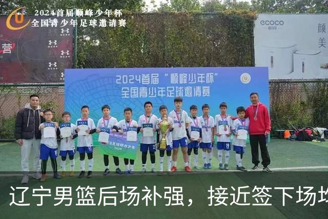 辽宁男篮后场补强，接近签下场均12.7分优质国产后卫，王岚嵚有可能离队！