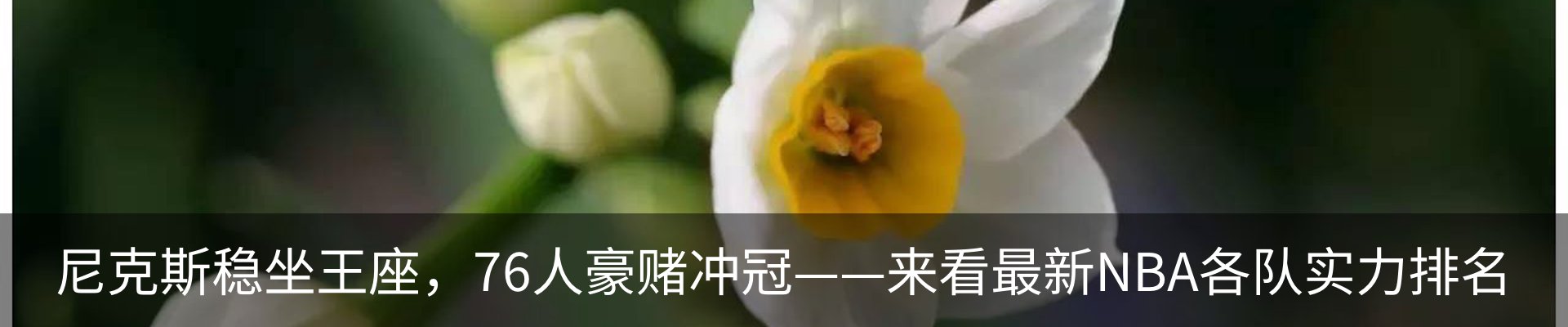 新闻动态