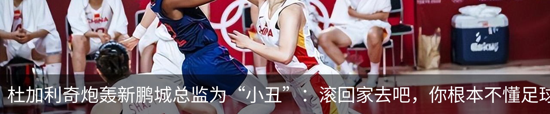 新闻动态