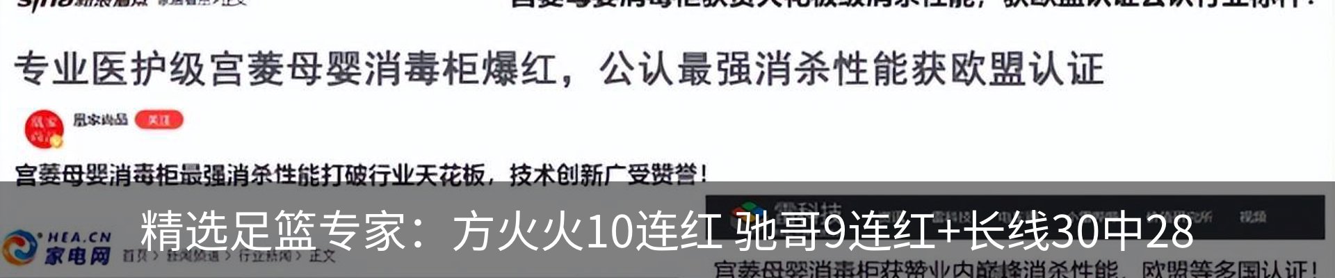 新闻动态