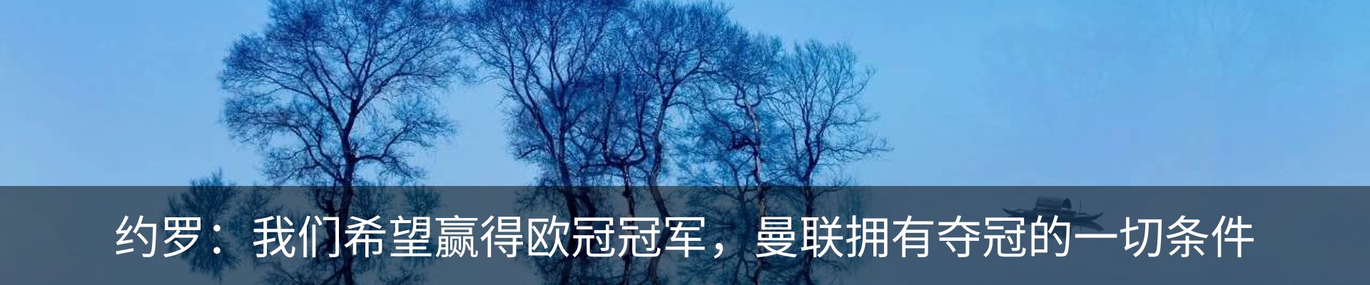 新闻动态