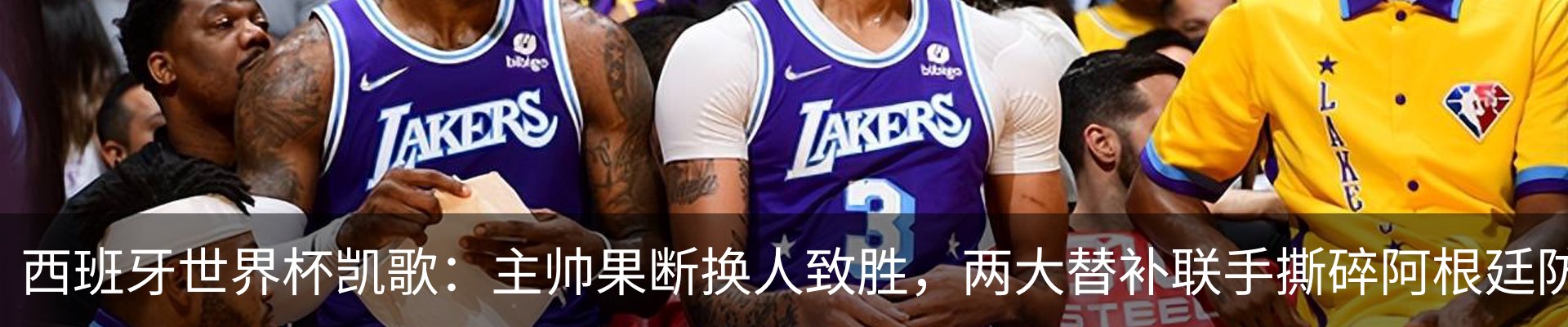 新闻动态