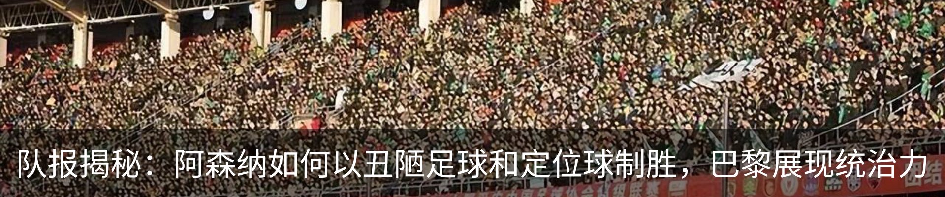 新闻动态