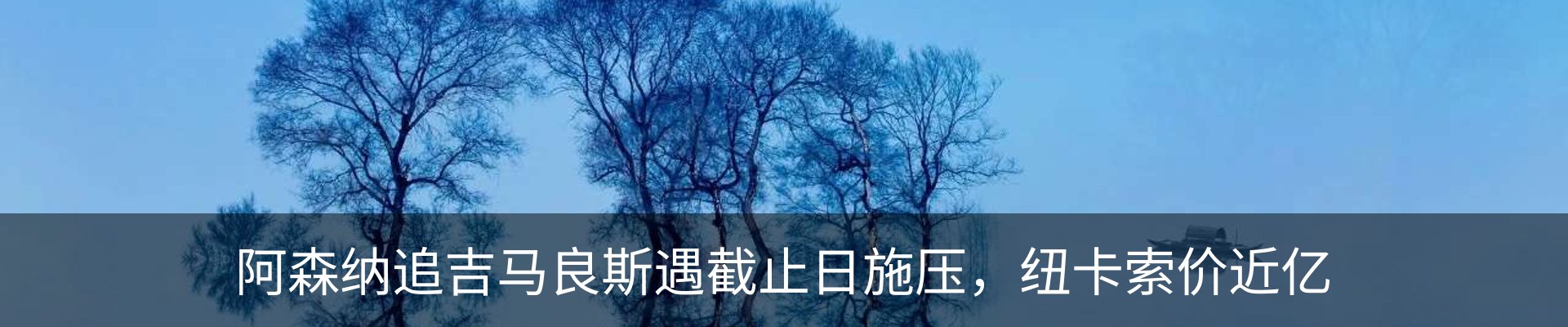 新闻动态