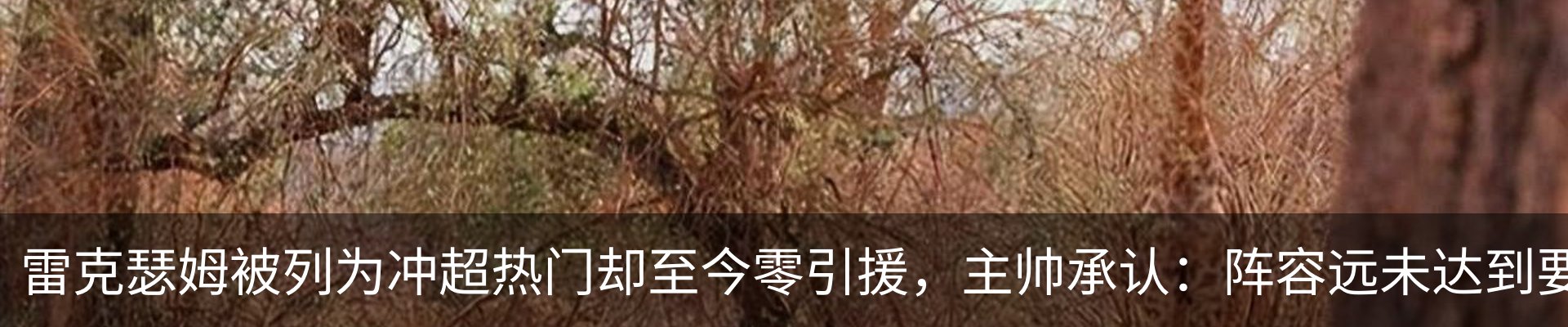 新闻动态